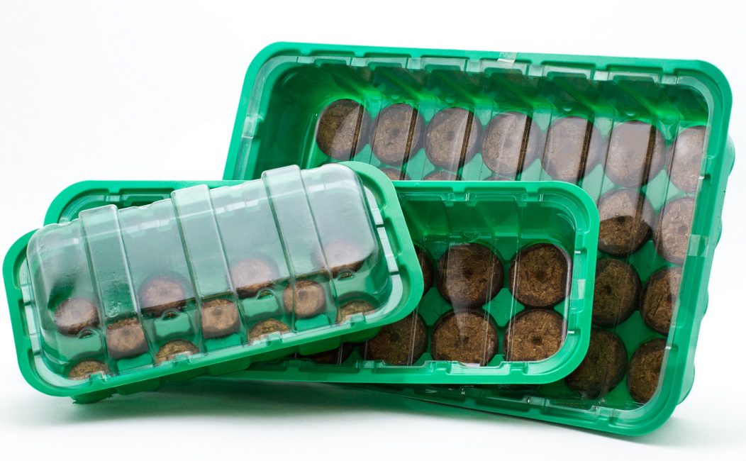 Presque toujours, les semis pendant la culture nécessitent des conditions d'humidité et de température élevées, par conséquent, avec des comprimés de tourbe, il est nécessaire d'utiliser une mini-serre.