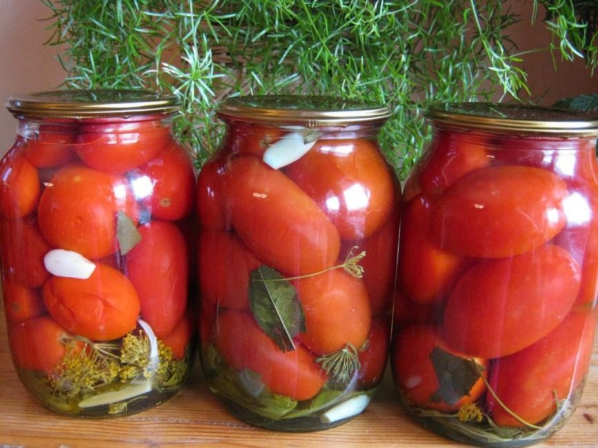 tomates en conserve