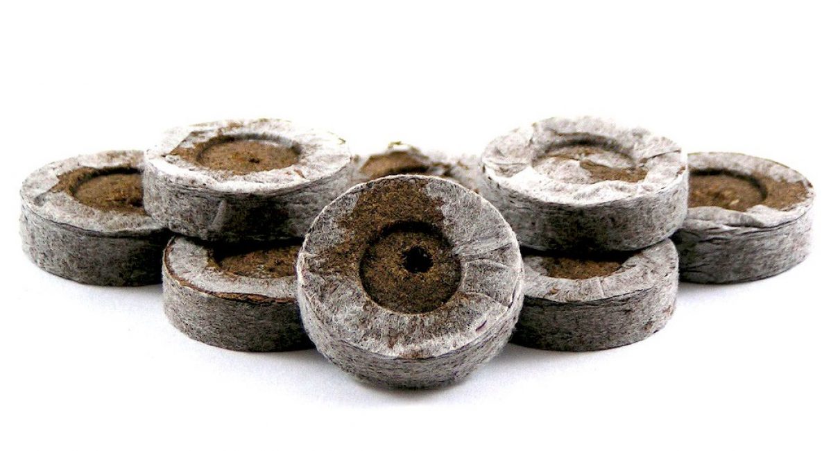 Comprimés de tourbe