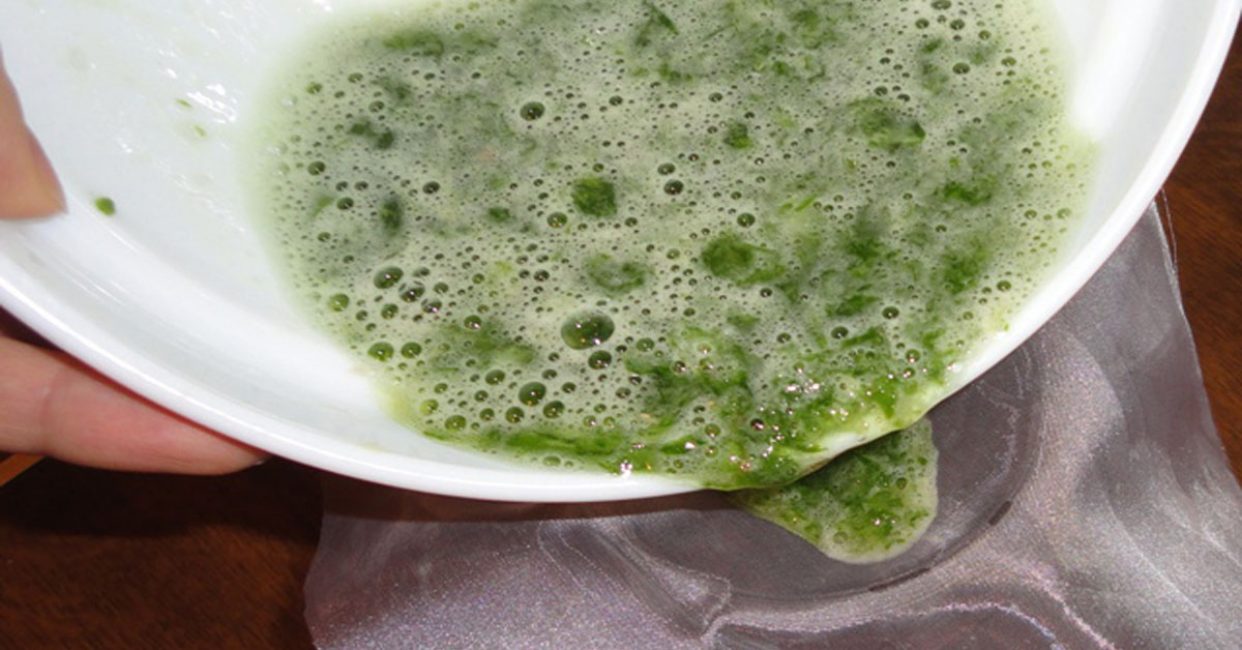 Jus de feuilles de tussilage