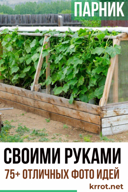 Comment faire une serre de vos propres mains