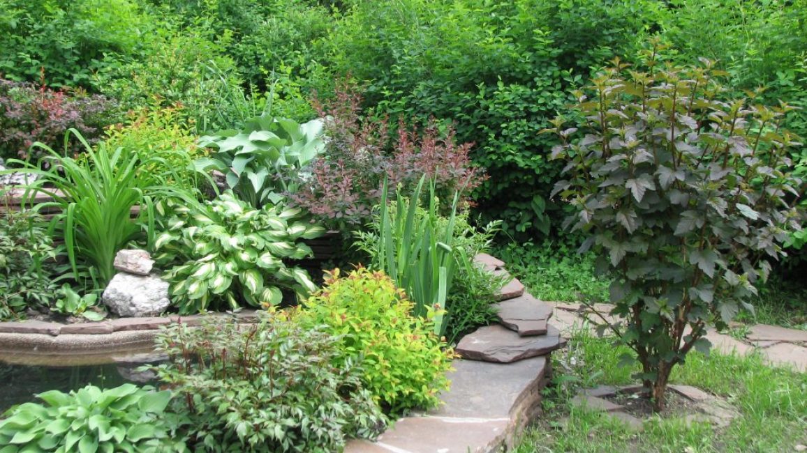 Bulle dans l'aménagement paysager