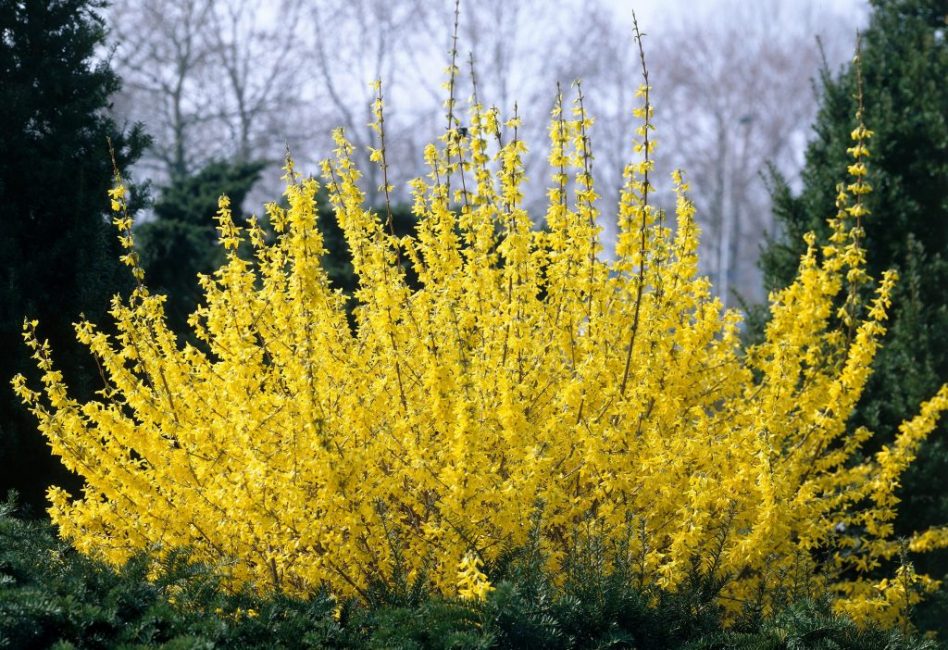 Choisissez un endroit ensoleillé et spacieux