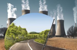 TOP-50 Plantes ornementales qui purifient l