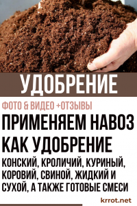 Nous utilisons le fumier comme engrais : cheval, lapin, poulet, vache, porc, liquide et sec, ainsi que des mélanges prêts à l