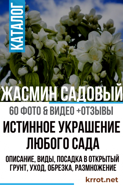 une véritable décoration de tout jardin