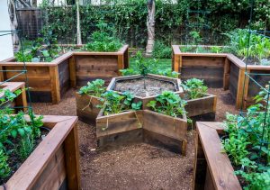 Comment faire et organiser de beaux lits à la campagne de vos propres mains: simples, grands, intelligents. Pour fleurs et légumes. Idées originales (plus de 80 photos et vidéos)