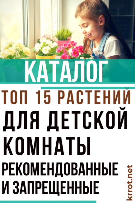 plantes d'intérieur pour pépinière