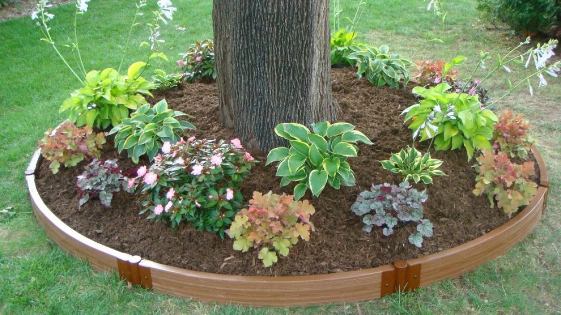 Un exemple de plate-bande sous un arbre