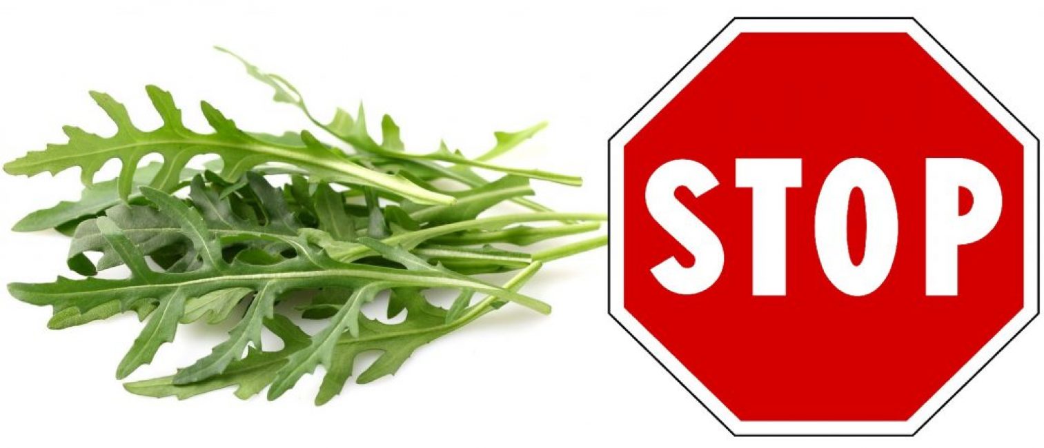 La roquette peut provoquer des allergies