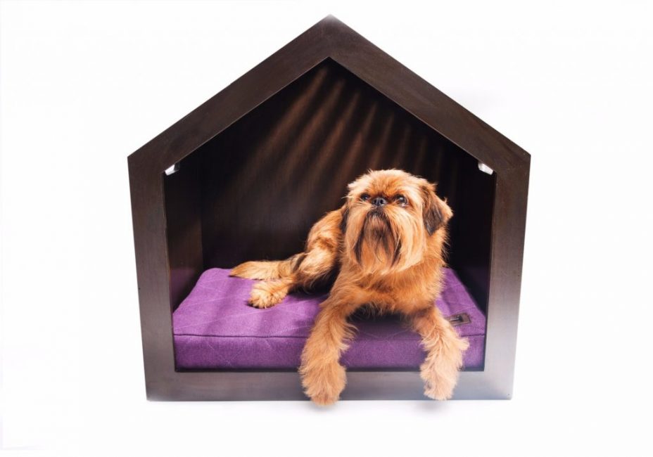 Niche confortable pour chien d'appartement
