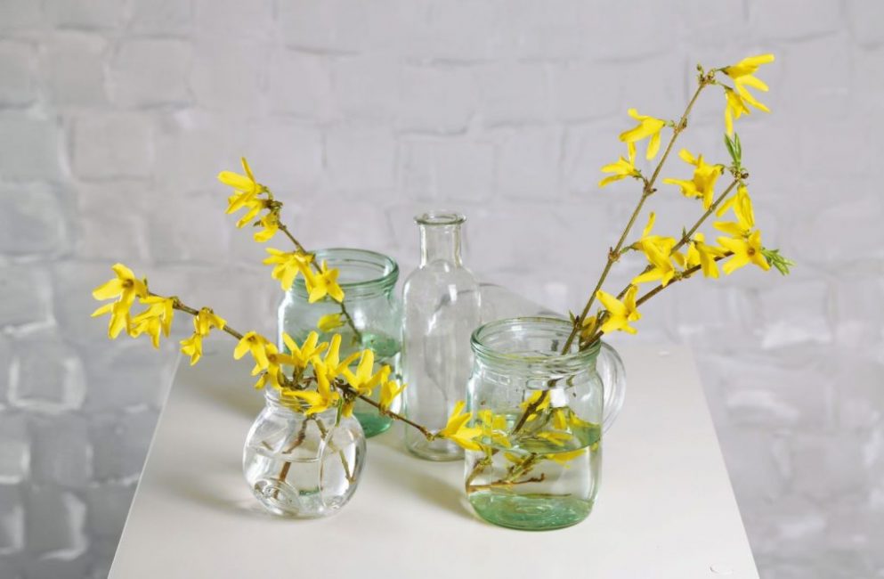 Forcer une plante est un excellent moyen d'obtenir des fleurs en hiver.