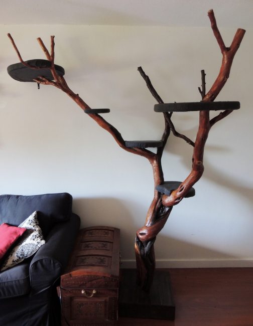 Arbre pour un chat dans un appartement
