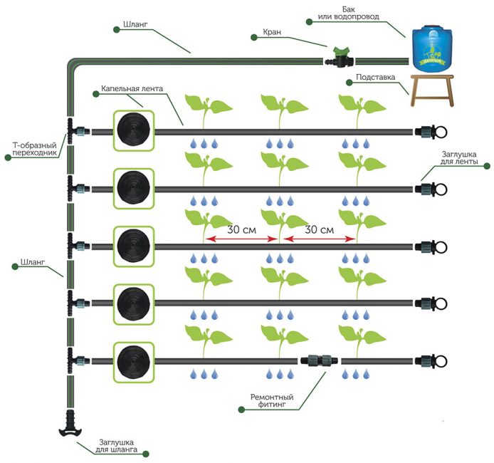 Pour la plupart des cultures, la distance entre les compte-gouttes est de 30 cm