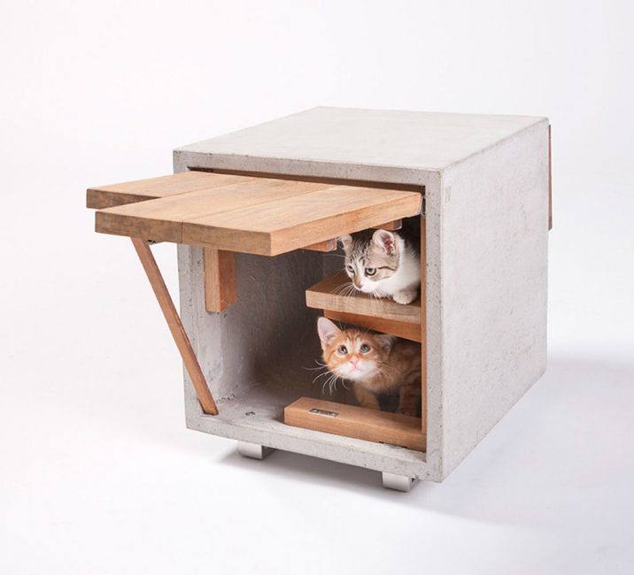 Maison pour deux chats