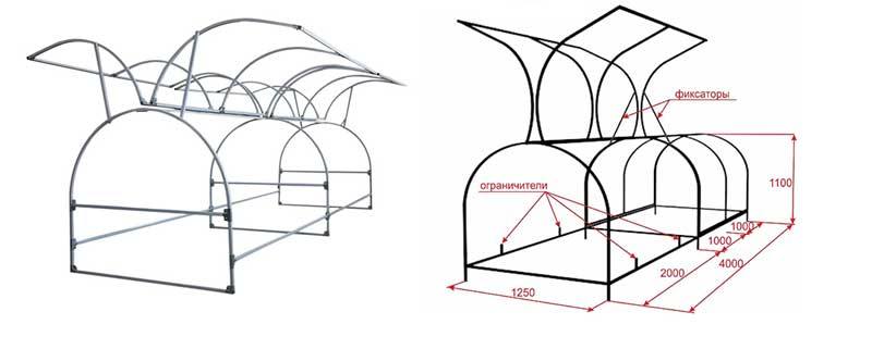 Préparation de la serre à papillons