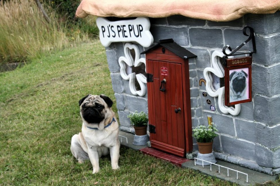 Chenil à carlin en pierre