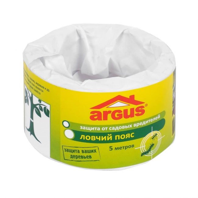 Ceinture de traqueur Argus