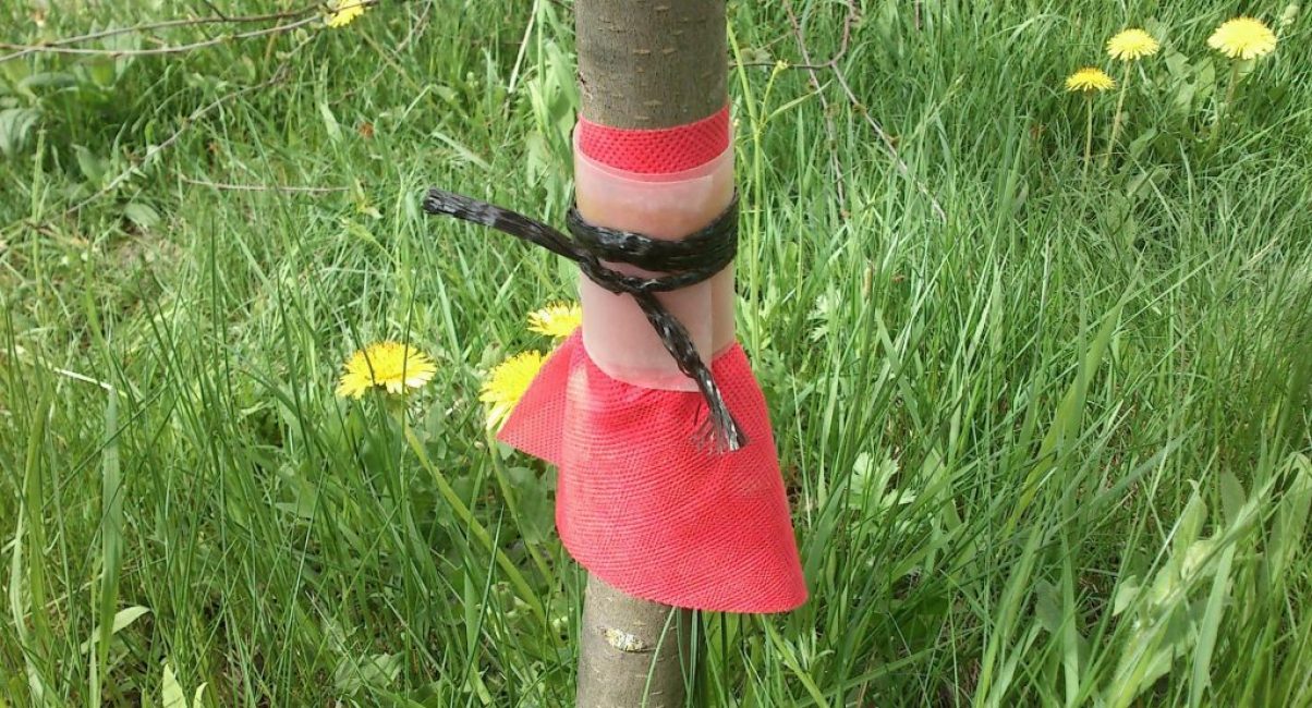 Ceinture de chasse aux arbres en forme de jupe