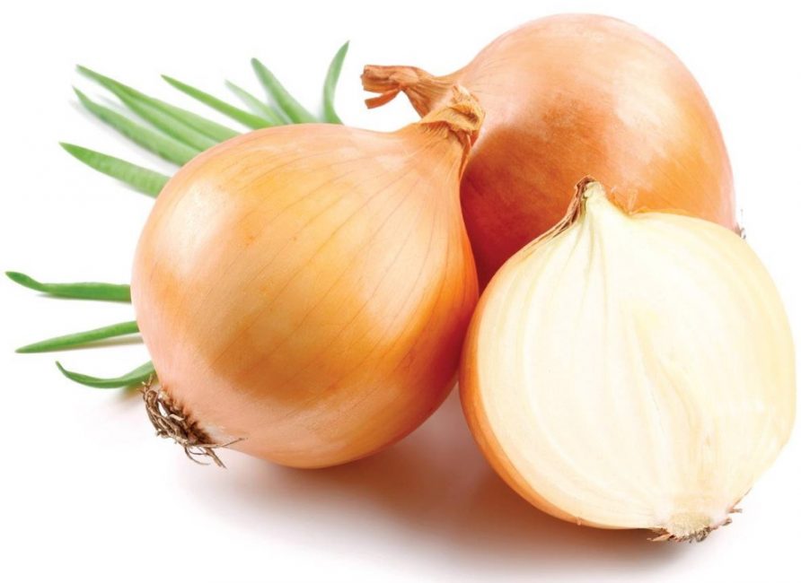 Oignon