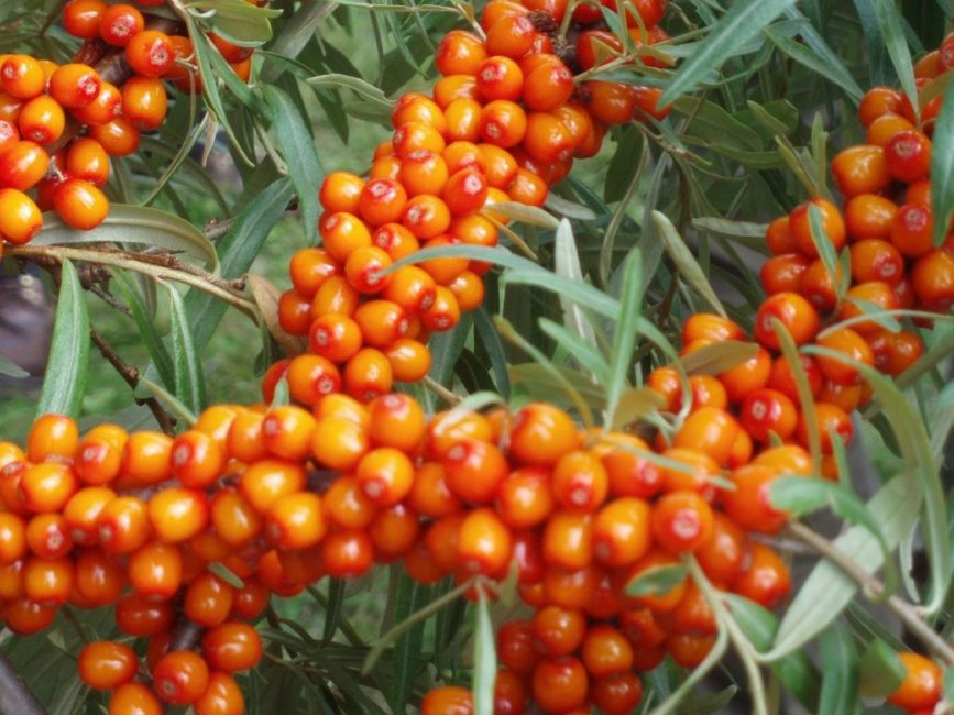 La beauté de Moscou