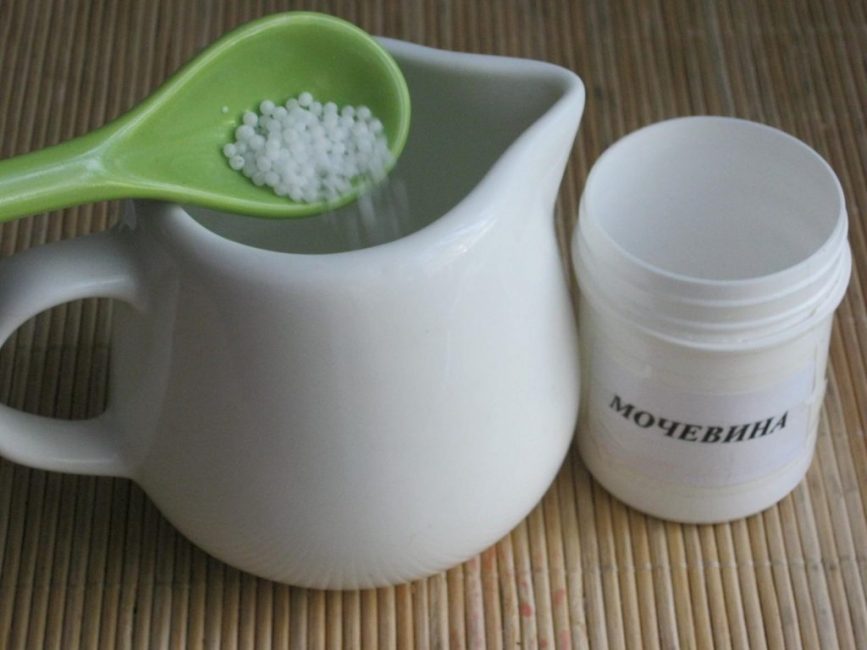 Urée - l'une des préparations pour l'alimentation