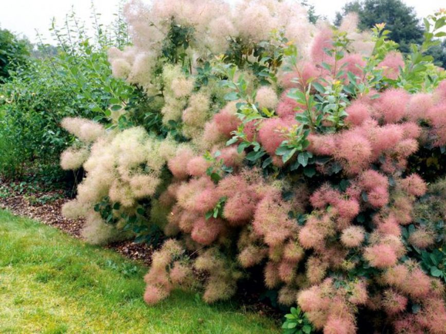 Vous devez choisir une issue de secours située le plus bas possible par rapport au sol