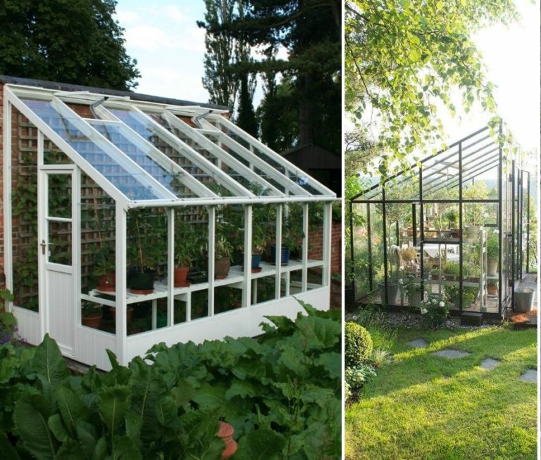 Construction de cabanon