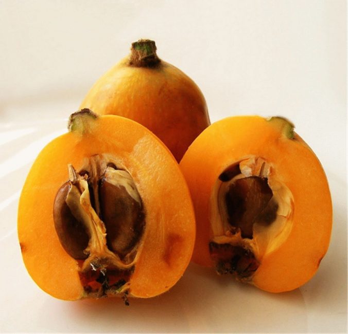 Les fruits de la fleur d'hiver sont un entrepôt de nutriments