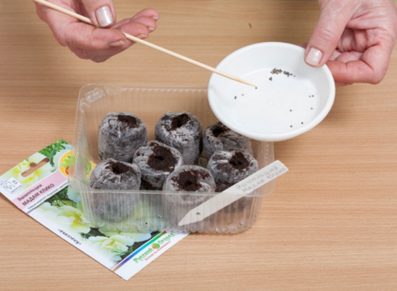 Planter des graines avec un bâton pointu