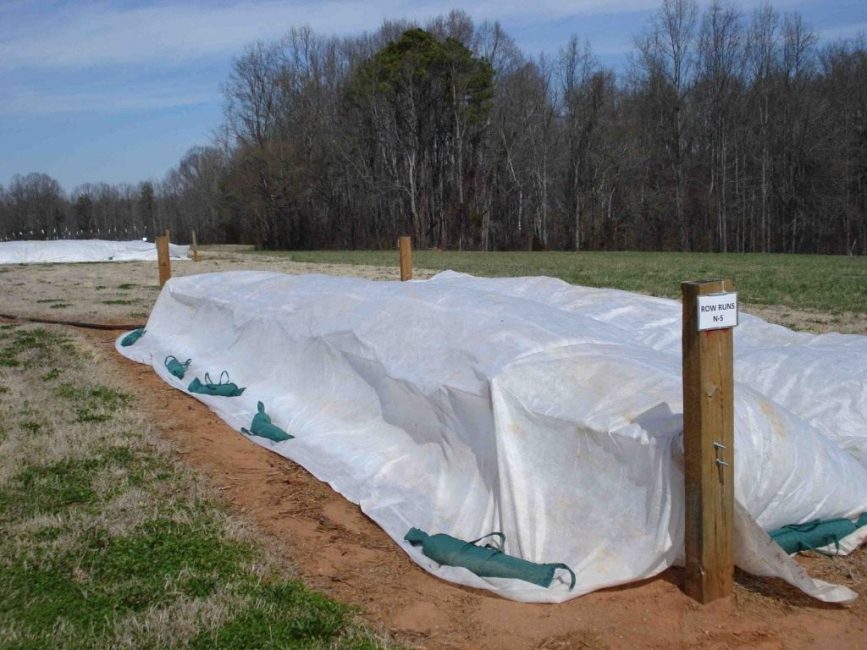 Couverture de buisson simple