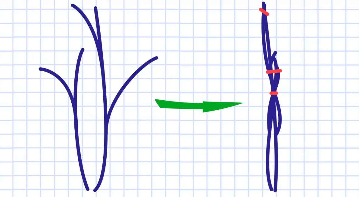 Les buissons droits peuvent être attachés avant de se réchauffer pour l'hiver