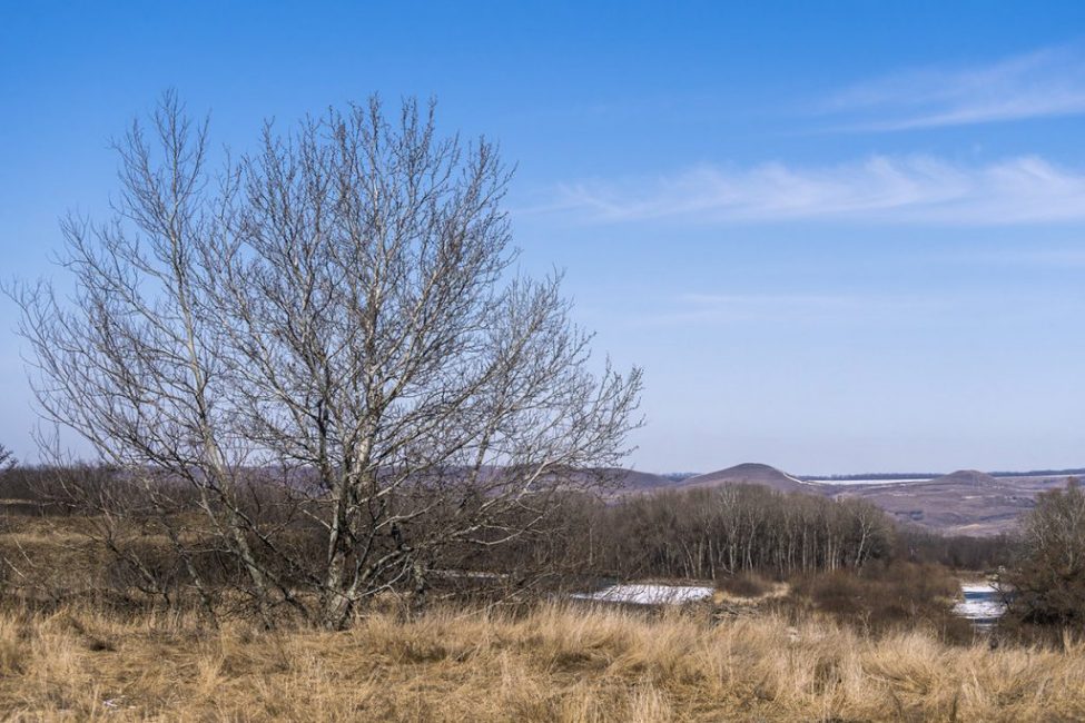 Le début du printemps est le moment idéal pour planter des arbres fruitiers.