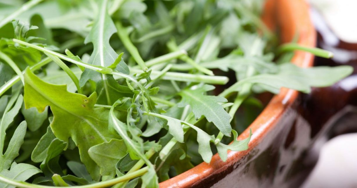 La roquette favorise la santé