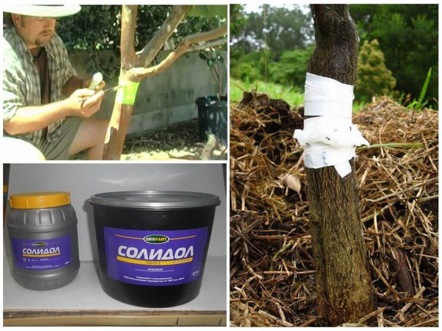 Méthode d'installation d'une ceinture d'huile solide