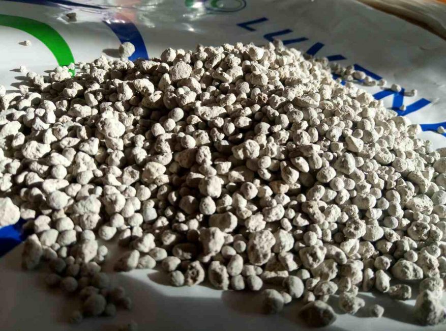 Superphosphate en granulés