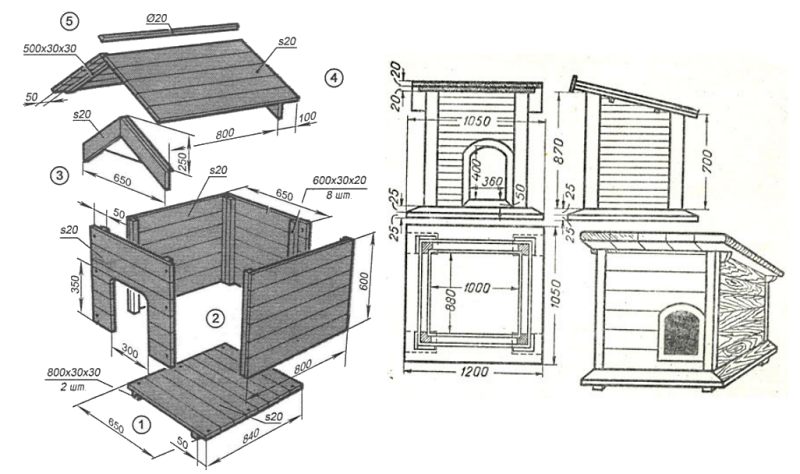 Cabine de dessin pour chien