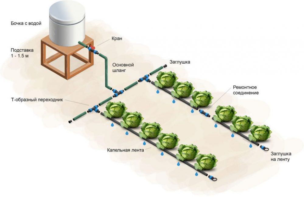 Système d'irrigation goutte à goutte