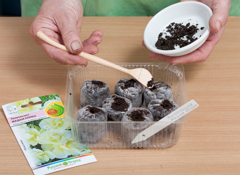 Recouvrir les graines de terre