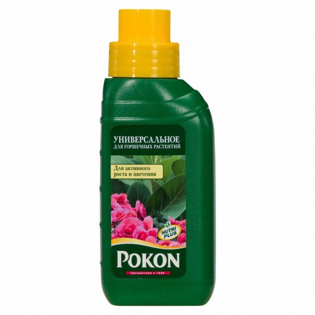 Engrais universel pour plantes d'intérieur