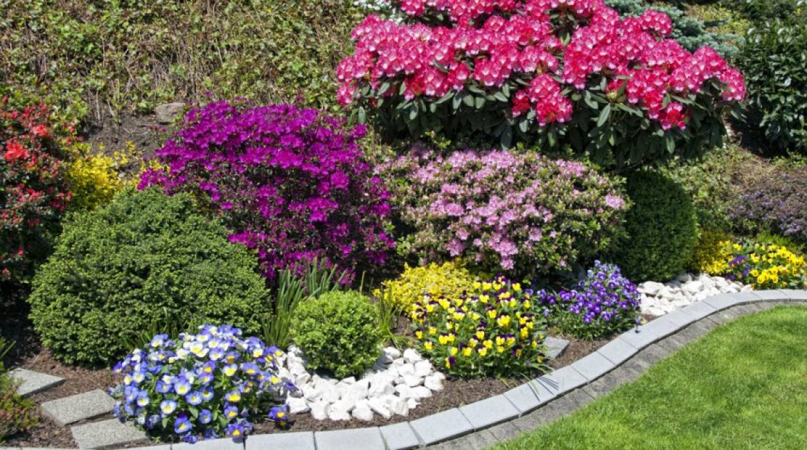 Soucis comme élément d'un mixborder