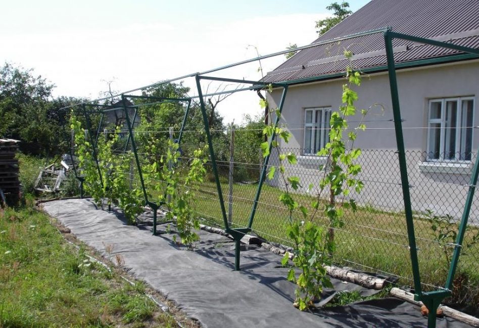 Conception biplanaire