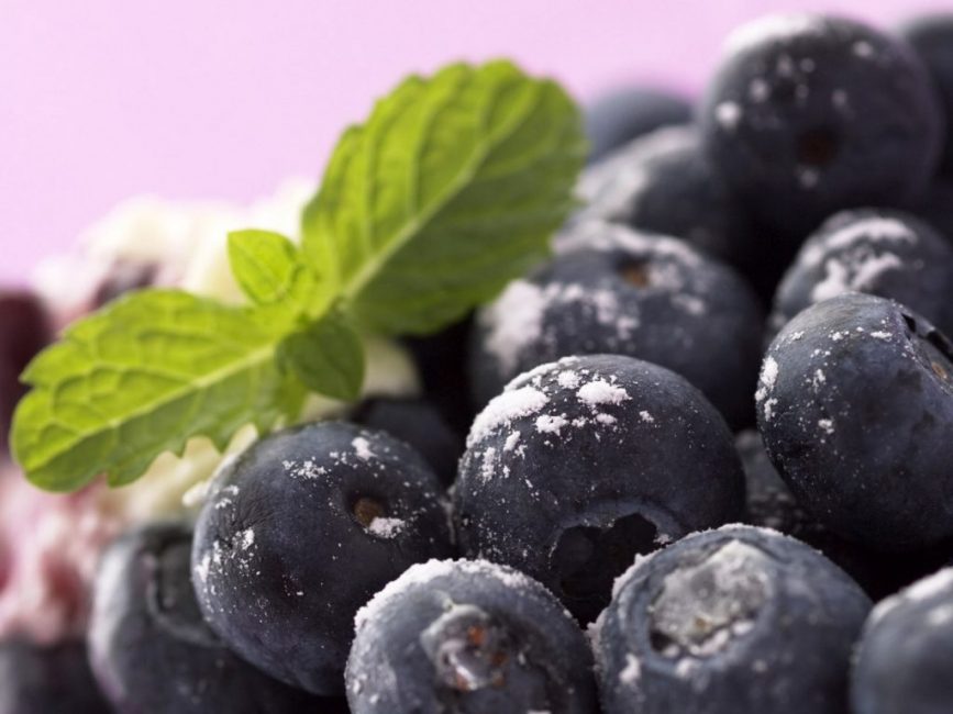 Myrtilles surgelées