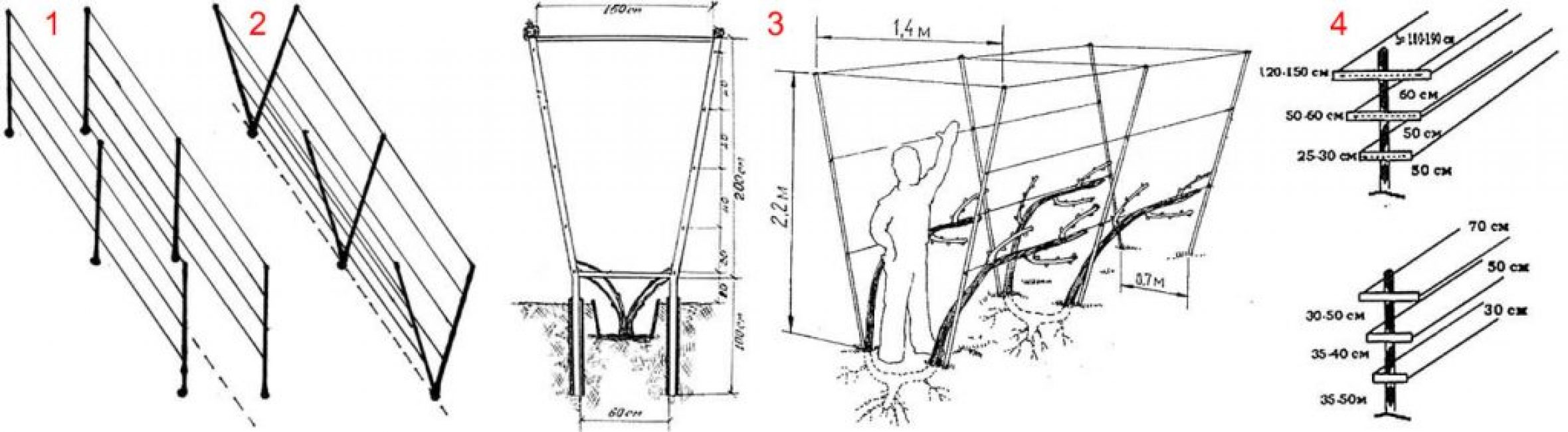 Dessin à faire soi-même d'un treillis de raisin