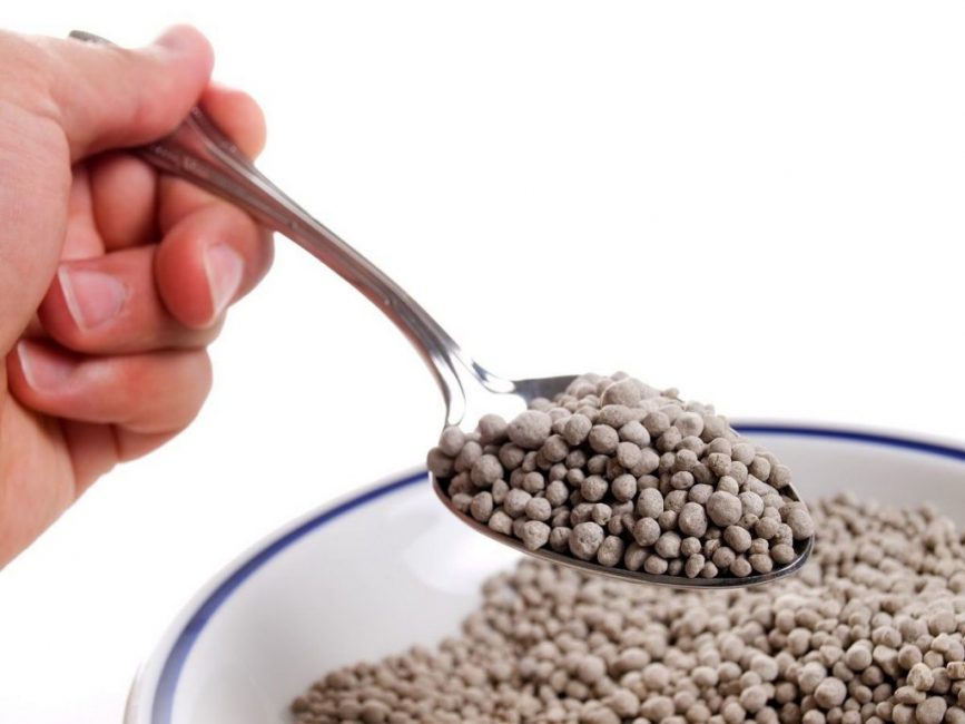 Dans certains cas, le superphosphate forme la base de l'extrait