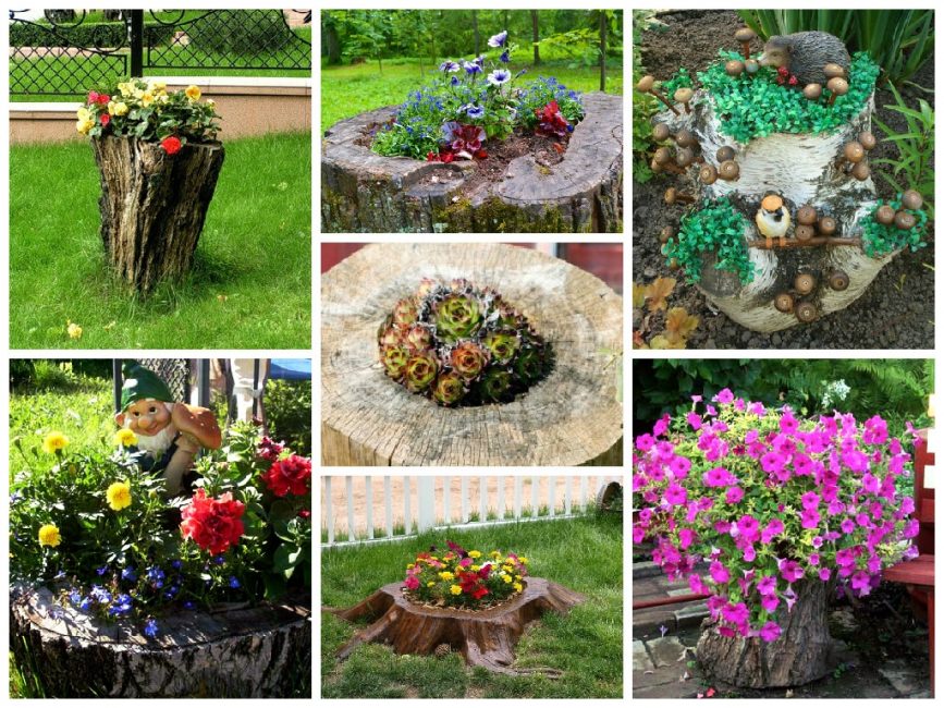 Options pour les plates-bandes situées dans les souches