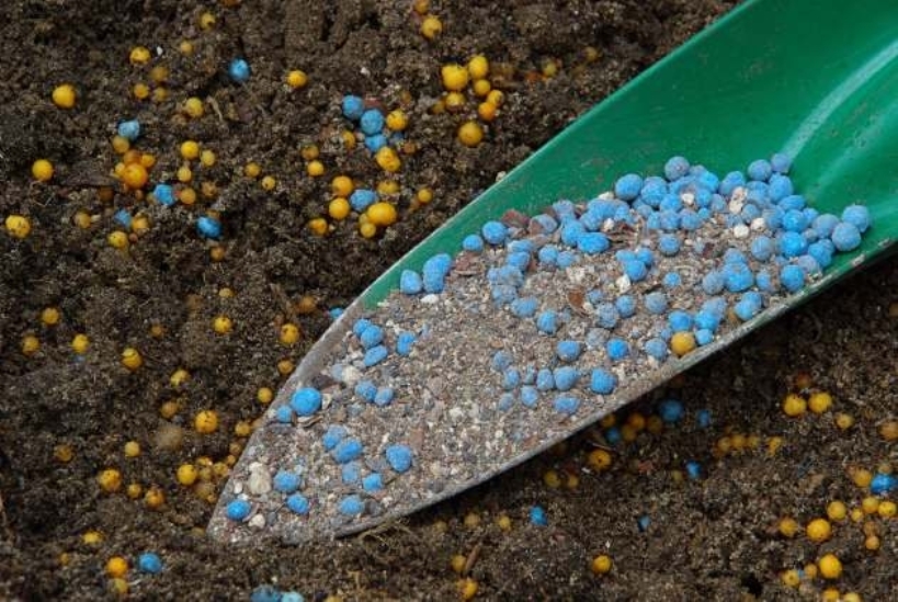 Application d'engrais minéraux