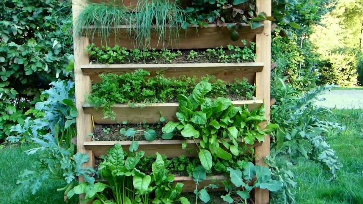 plantation de verdure