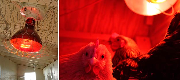 Chauffage avec lampe infrarouge