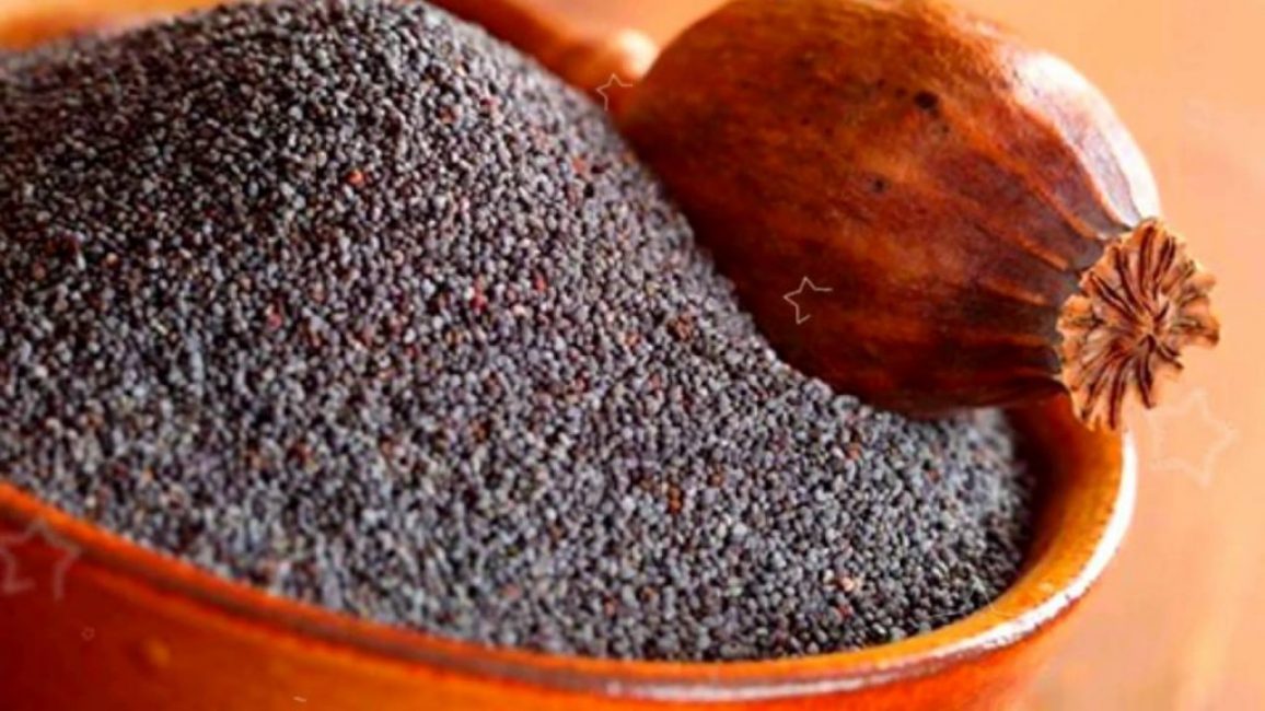 graines de coquelicot